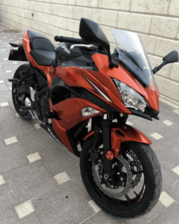 
										2019 Kawasaki Ninja 650 ABS full									