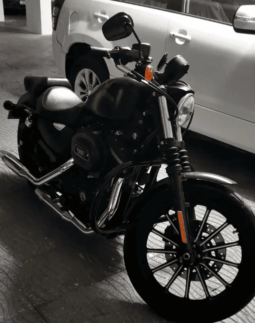 
										2013 Harley-Davidson Iron 883 (XL883N) full									