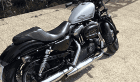 2010 Harley-Davidson Forty-Eight (XL1200X)