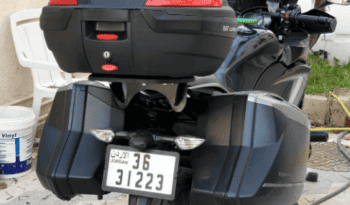 
										2019 Kawasaki Ninja 1000 ABS full									